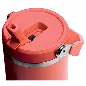 Stanley The IceFlow Flip Straw Pipetli Termos Bardak 0,89 LT - Mercan